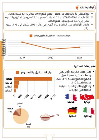 دراسة سوق الدقيق في مصر (3)