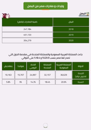 دراسة سوق البصل