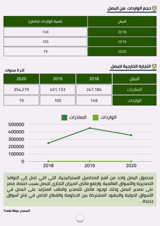 دراسة سوق البصل