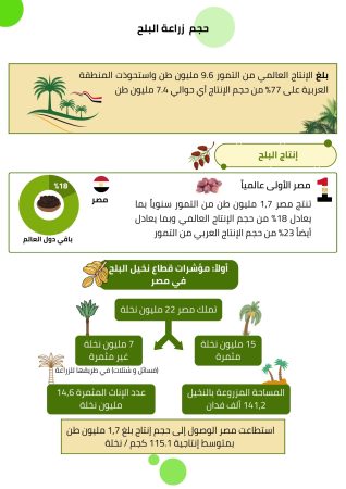 دراسة جدوى زراعة النخيل (1)