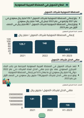 دراسة جدوى شركة تمويل (3)