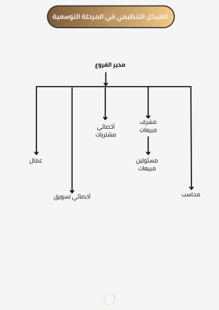 دراسة جدوى محل مجوهرات