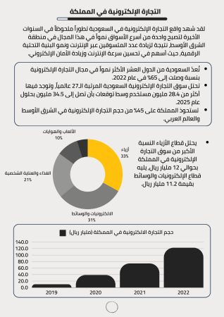 دراسة جدوى مشروع تجارة الكترونية (2)