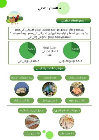 دراسة جدوى مشروع تسمين الدواجن (1)