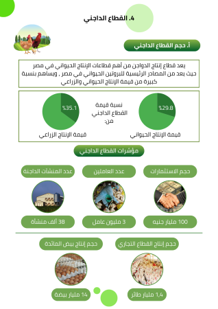 دراسة جدوى مشروع تسمين الدواجن (1)