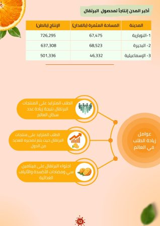 دراسة سوق البرتقال في مصر (2)