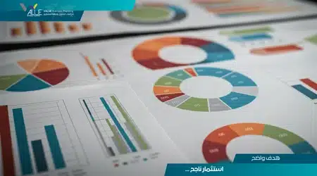 تعريف الدراسة المبدئية للمشروع