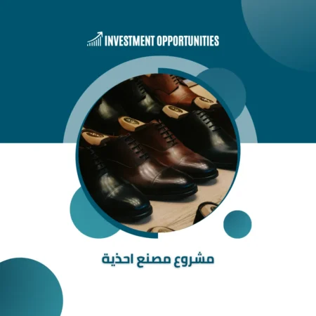 دراسة جدوى مشروع مصنع احذية