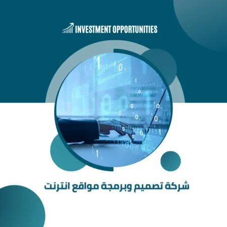 دراسة جدوى شركة تصميم وبرمجة مواقع انترنت