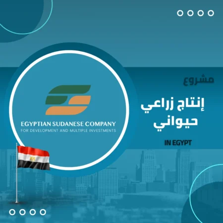 المصرية السودانية