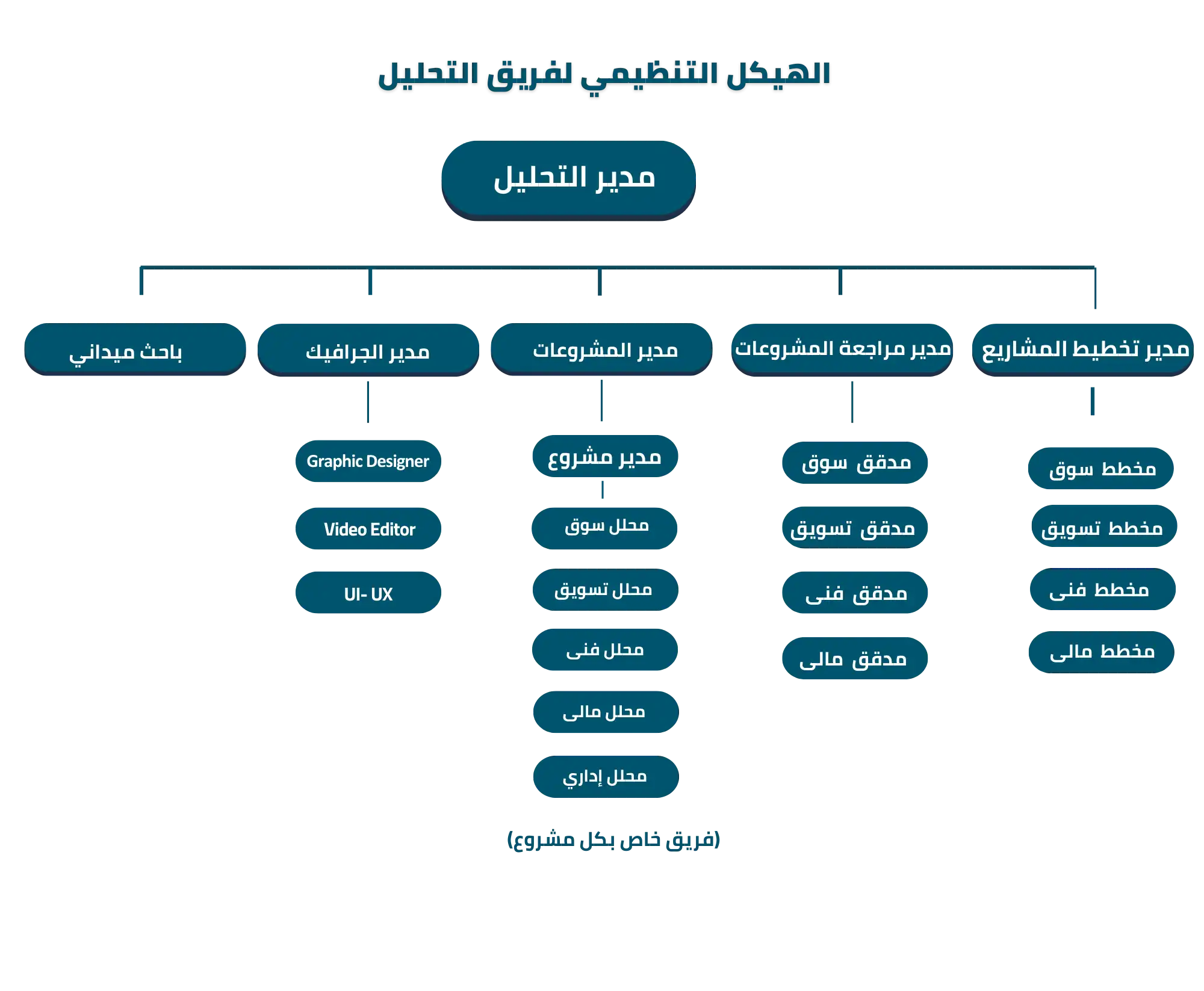 هيكل فريق التحليل