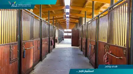دراسة جدوى مشروع اسطبل خيول