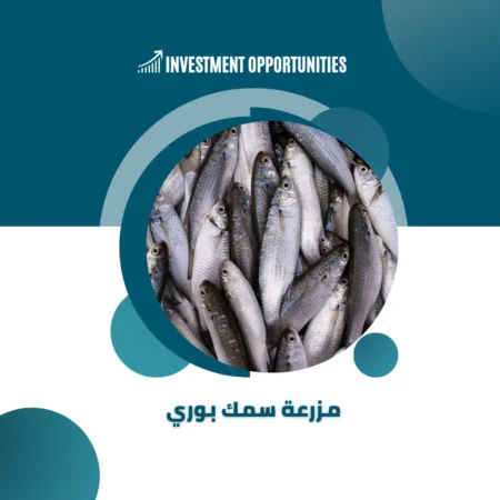 دراسة جدوى مزرعة سمك بوري